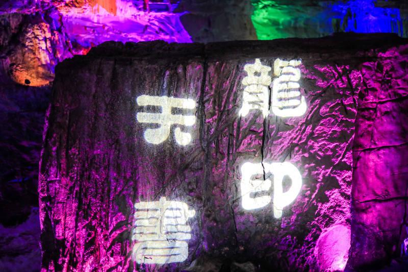 “国投力量”党建品牌发布